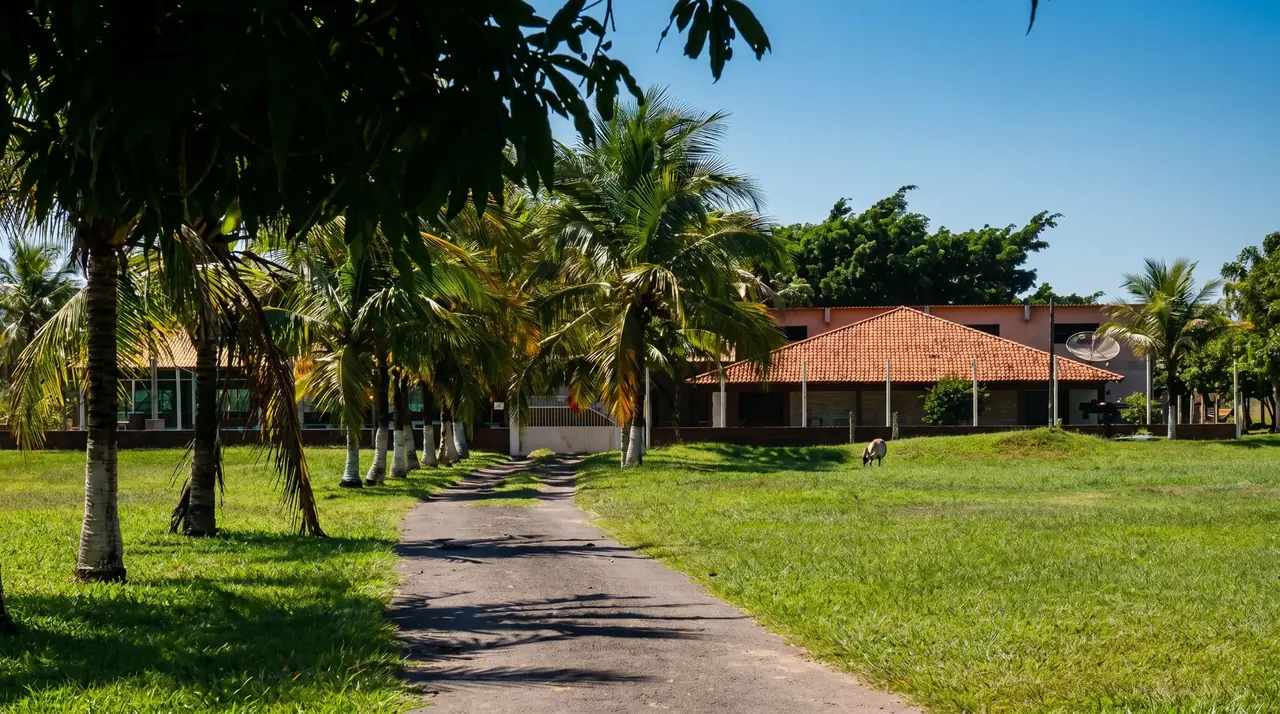 Entrada da Unidade Rio Preto com palmeiras e área verde